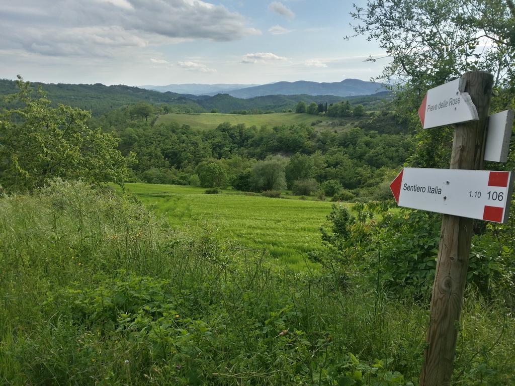 Country House Santa Felicita La Paterna Τόντι Εξωτερικό φωτογραφία